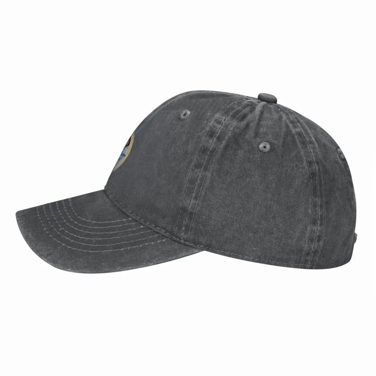 Skylab program insignia Baseba - Streetwear Brand Hats recension och pris